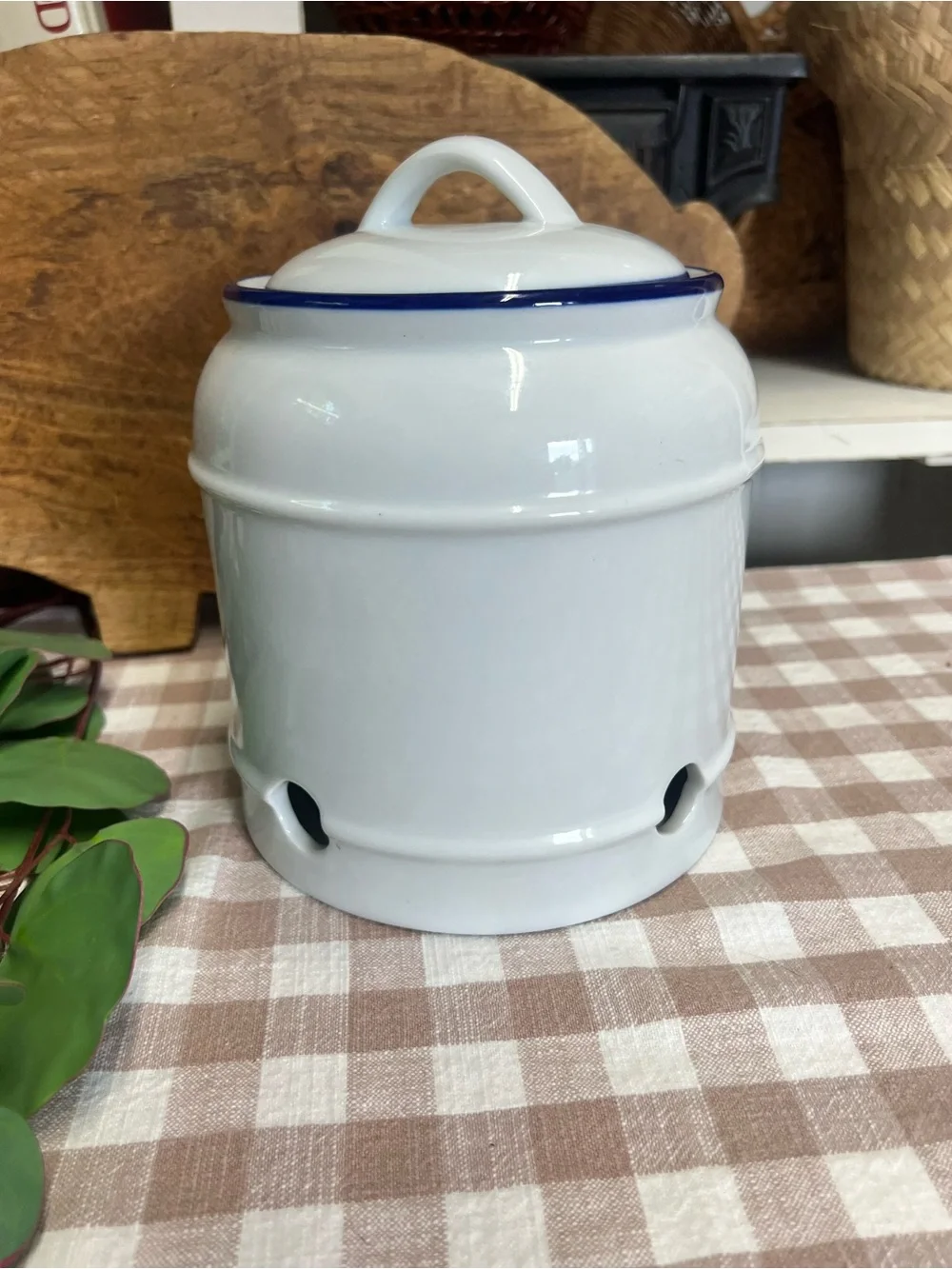 Onion canister world market storage blue white ceramic